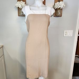Brownstone Studio Sleeveless Sheath Dress